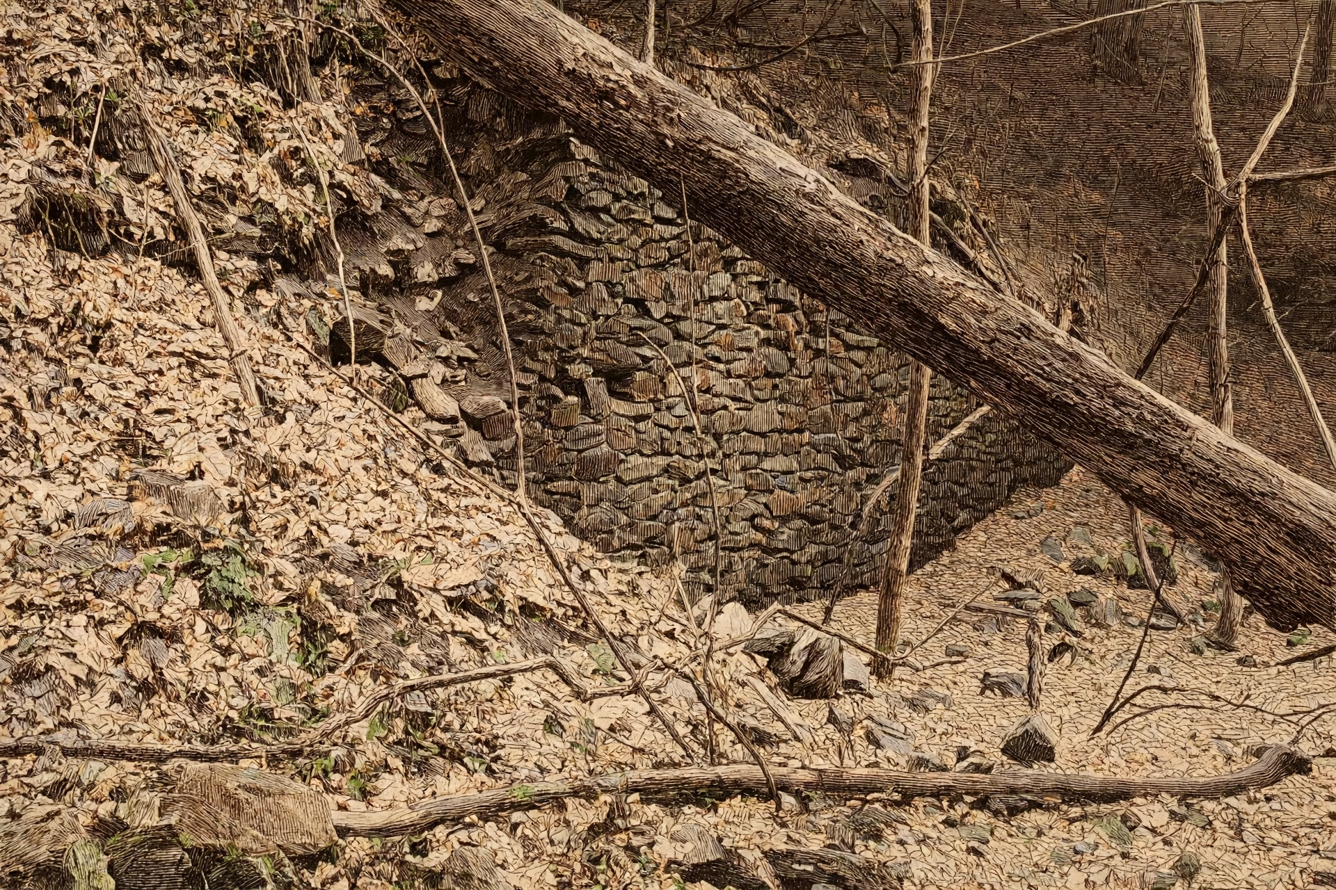 The hotel's stone foundation wall in the wooded hillside, a fallen tree across the slope